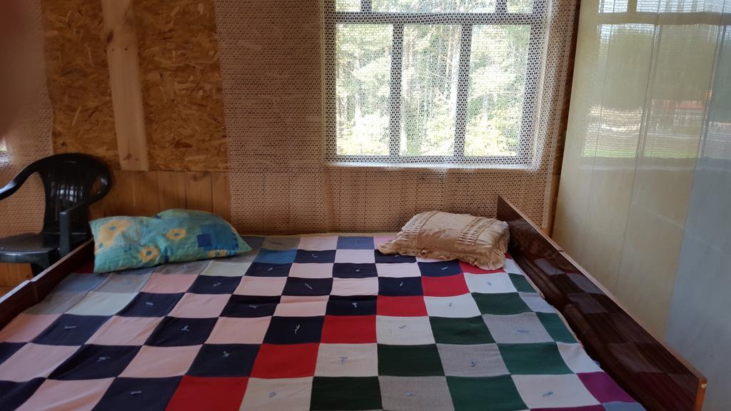 アグロナ Priedisiヴィラ 部屋 写真